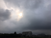 雨上り♪ 画像1