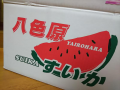 八色スイカ と (=_=)