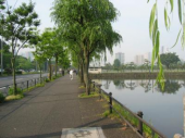 出張で皇居をランニング。 画像1