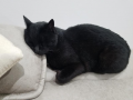 バイトばかり