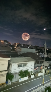 健診、花火大会、ダルすぎ 画像3