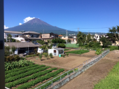 富士山写真 画像2