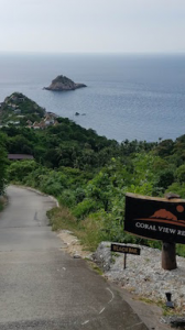 ✈関空✈私もバテる 画像3