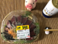 9月18日（火）