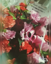 半世紀 画像3