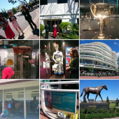 ☆初めての競馬場☆ 画像3
