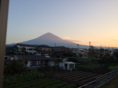蚊にやられた 画像1