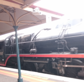 ☆ステイトライブラリ☆ 画像1