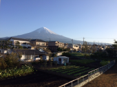 富士山綺麗でした 画像2