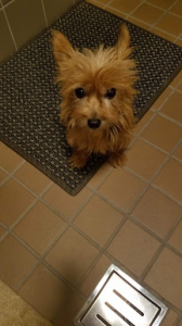 美学☆なぜ老いる? 画像3