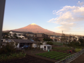 かみさん起きてこれない 画像1