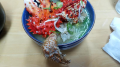 釣りと蟹