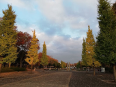 ただ･･逢いたくて 画像3