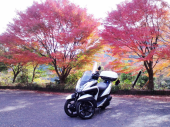 紅葉 画像3