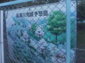 ちょい減り＆高瀬川＆鴨川 画像3