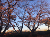 川霧♪ 画像2