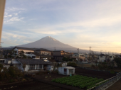 ウイスキー工場見学予約 画像1