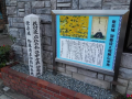 快晴の京都でひとりブラブラ