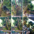 ☆２度目の動物園☆