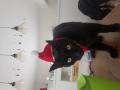 クリスマス仕様
