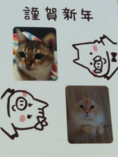平成最後の天皇誕生日 画像2