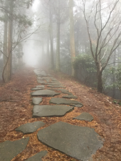 石段18回目 小雨 画像2