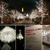 ☆忘年会その１☆ 画像2