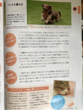 万ちゃん記 (718)【 ペットの出入国 】〜今回(今年)こそリバウンドしない！ 画像1