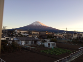 お茶飲んでますか 画像2