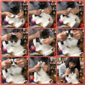 no title 画像1