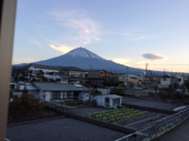 倅孫はとうとう来ない 画像1