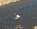 連休中日♪