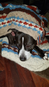 一片の悔い無し? 画像2