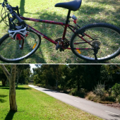 ☆自転車乗れたよ！☆ 画像1
