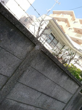 100評価記念日 画像3