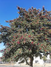 衝撃?嵐の休止報道 画像2