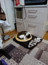 久しぶりのお湿り 画像2