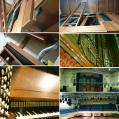 ☆タウンホール見学ツアー☆ 画像1