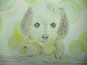 昨日の娘の作品。 画像1