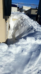 0℃…マイナスからの脱出 画像1