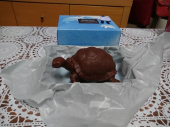 カメかめ亀～噛め？ 画像1