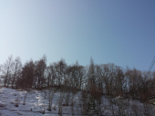 完全休息 画像1