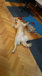 ☆更に寒い☆ 画像1