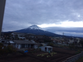 トレンドが引いている 画像1