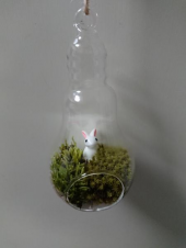 買い物 画像1