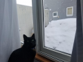 ちょっと緊張した