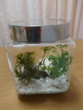 管外れる 画像1