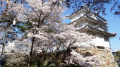 お城公園 画像1