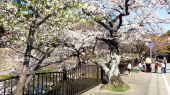 お城公園 画像2