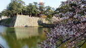 お城公園 画像3